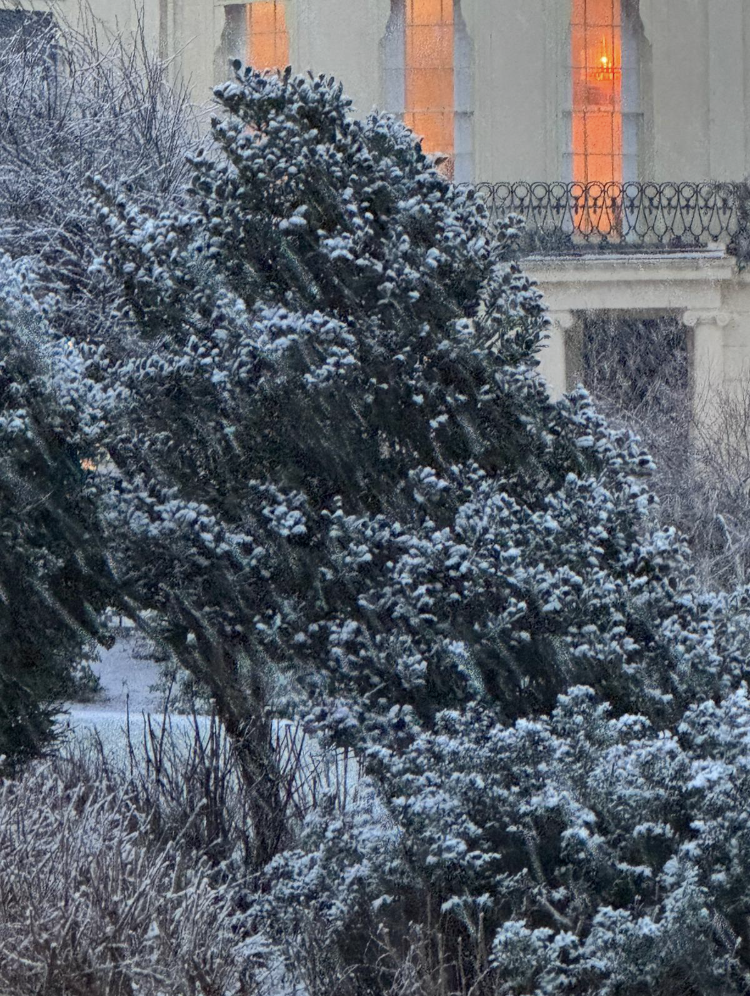 Gardening Goup Winter Newsletter